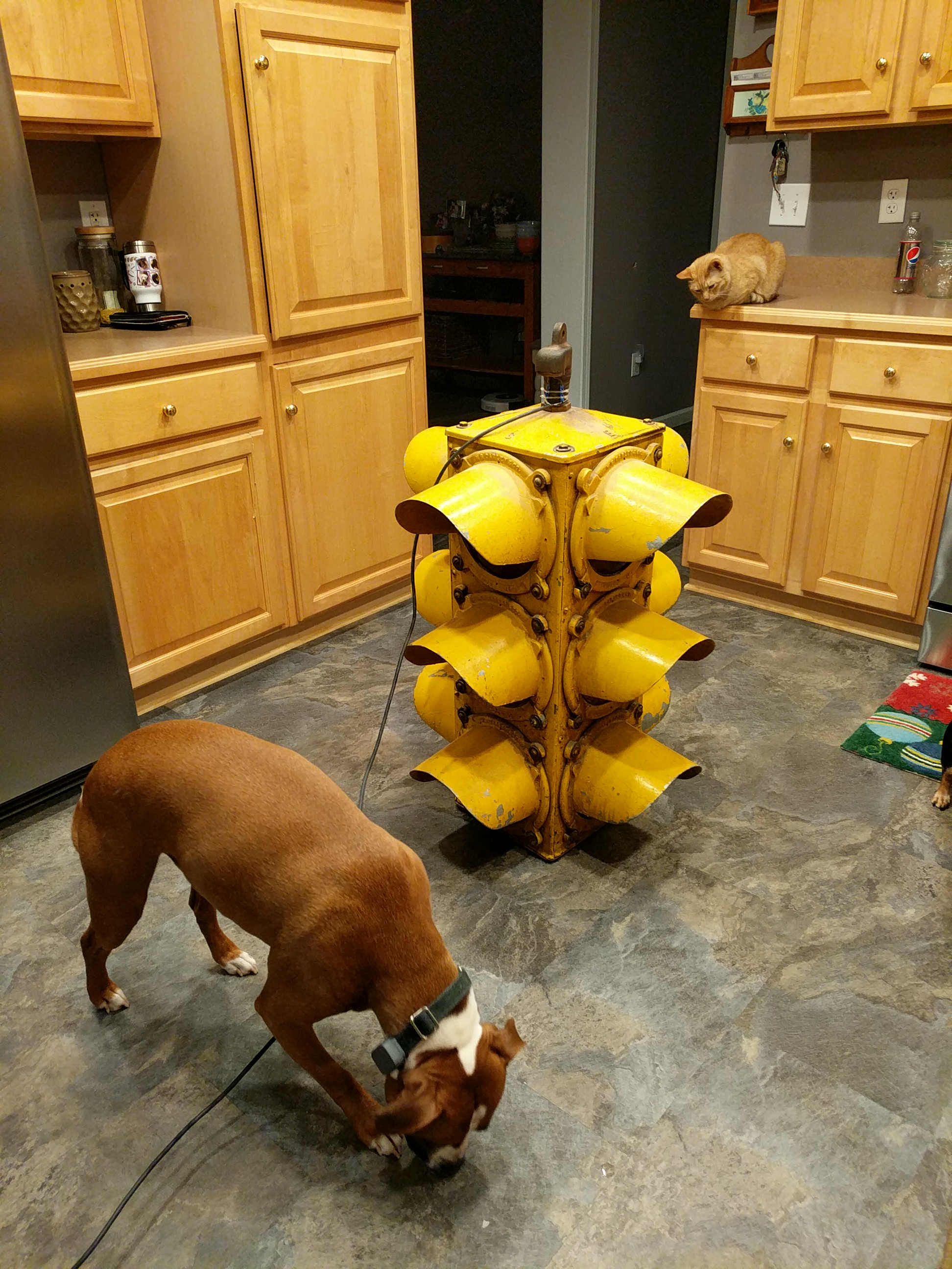 Darley Traffic Signal